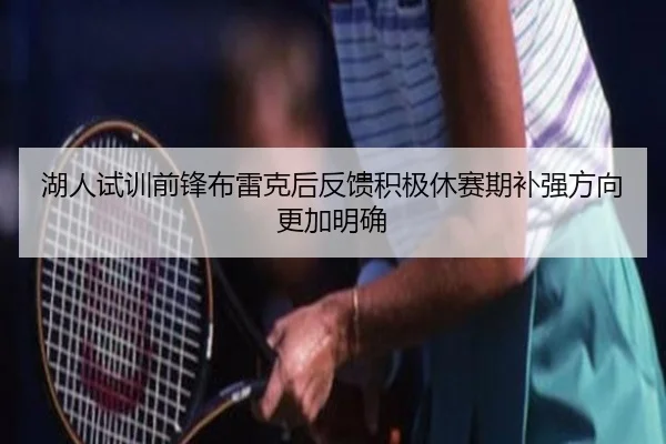 湖人试训前锋布雷克后反馈积极休赛期补强方向更加明确